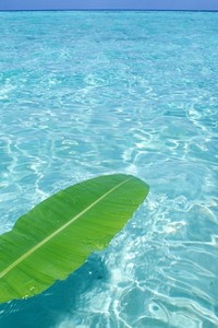 内纳取得胜利之路，法国足球联赛赛事激励人心