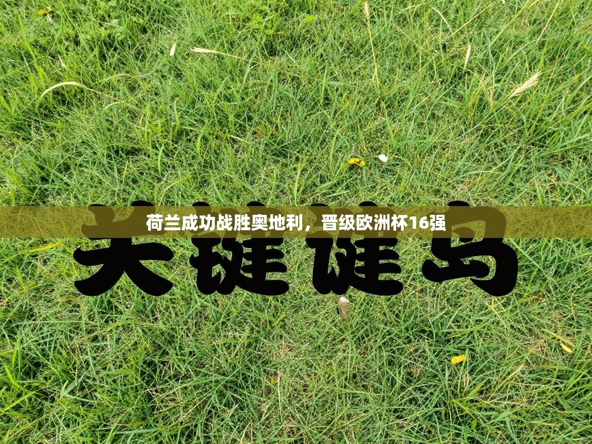 荷兰成功战胜奥地利，晋级欧洲杯16强  第2张