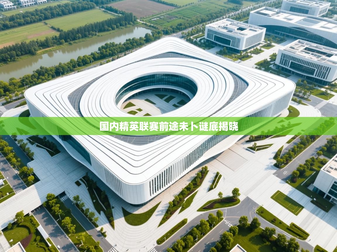 国内精英联赛前途未卜谜底揭晓