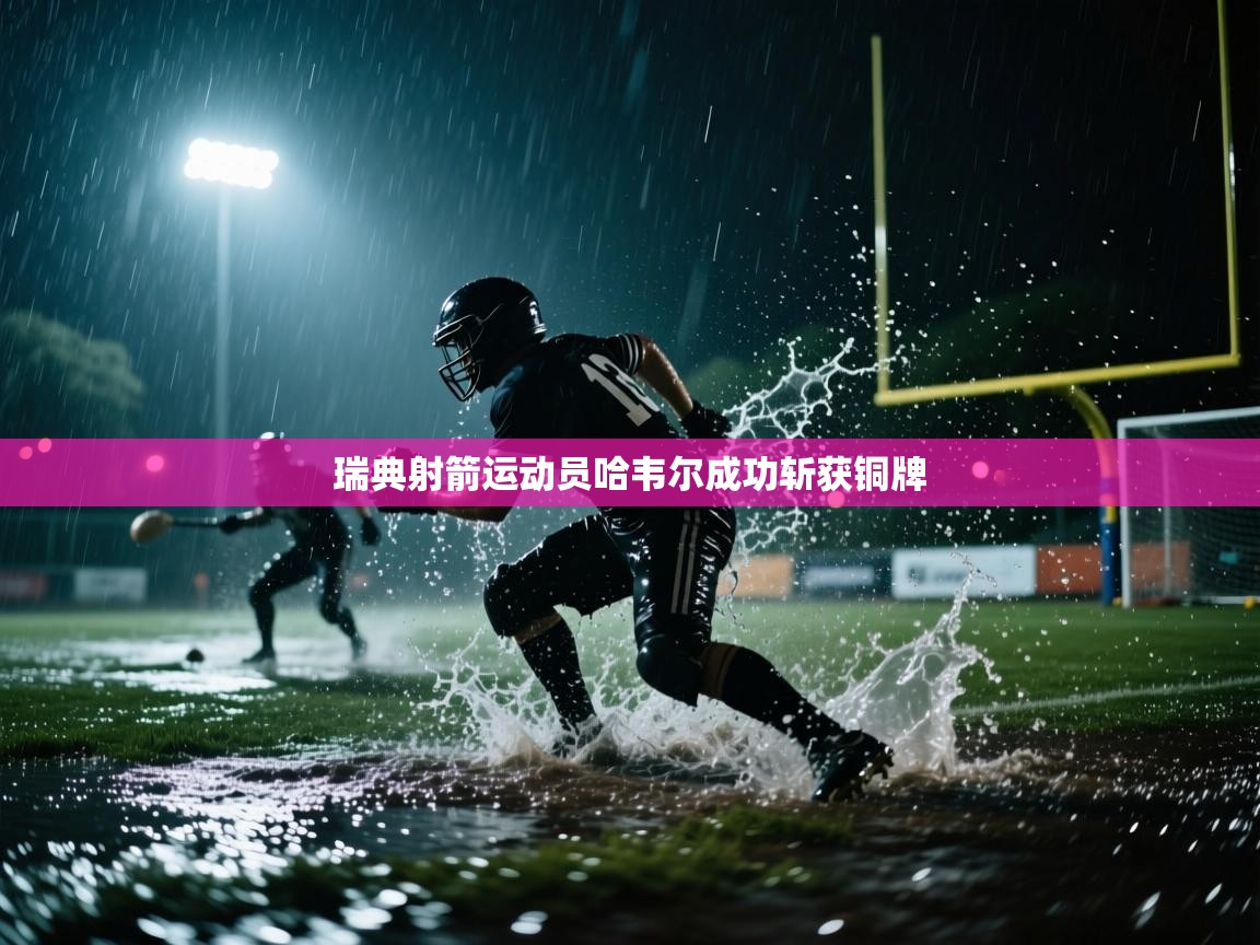 瑞典射箭运动员哈韦尔成功斩获铜牌  第2张