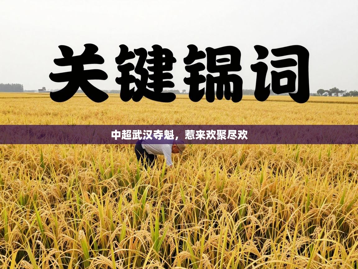 中超武汉夺魁，惹来欢聚尽欢