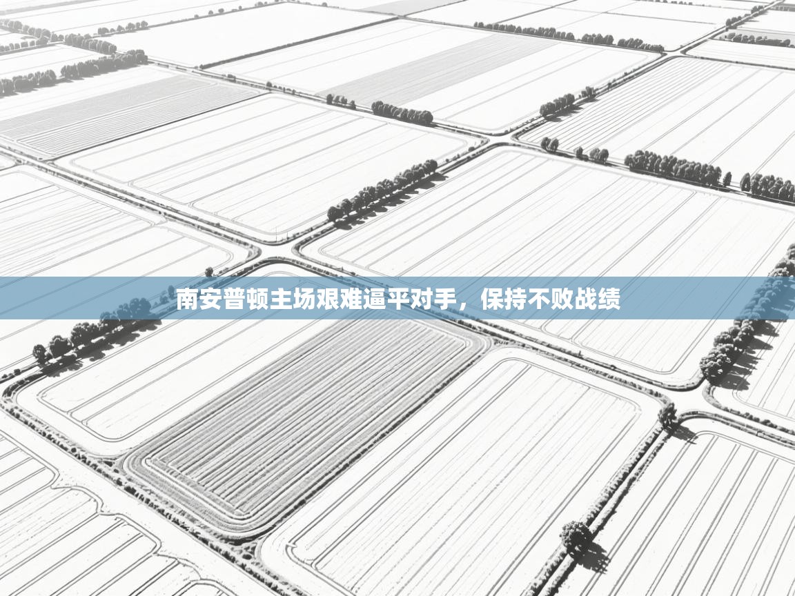 南安普顿主场艰难逼平对手，保持不败战绩  第2张