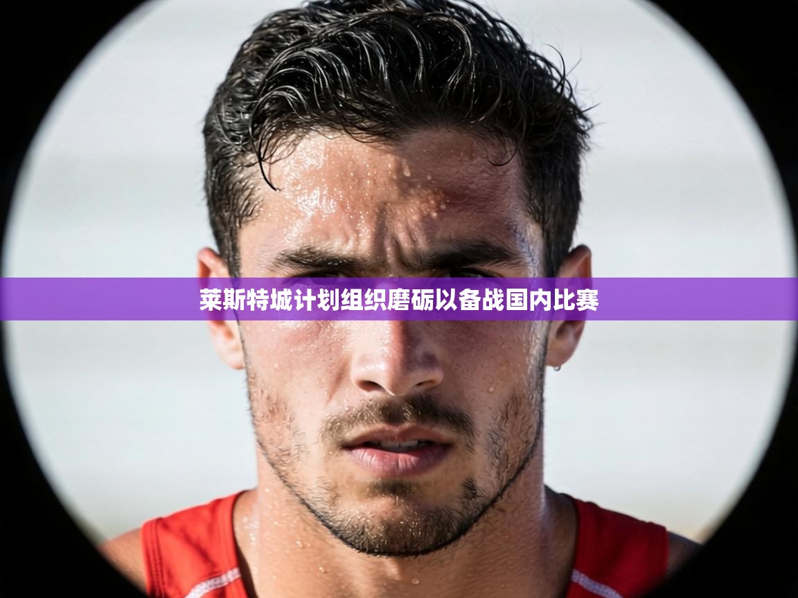莱斯特城计划组织磨砺以备战国内比赛